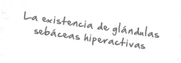 La existencia de glndulas sebceas hiperactivas